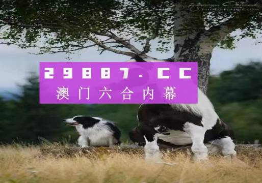 辦公設(shè)備租賃服務(wù) 第219頁(yè)