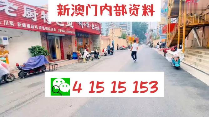 ＂2024澳門天天開好彩大全開獎(jiǎng)結(jié)果＂的：實(shí)踐調(diào)查說明_極致版2.5