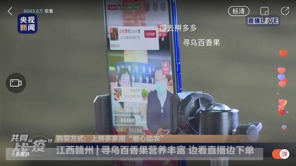 尋烏最新資訊深度解析，觀點(diǎn)闡述與最新動態(tài)報(bào)告
