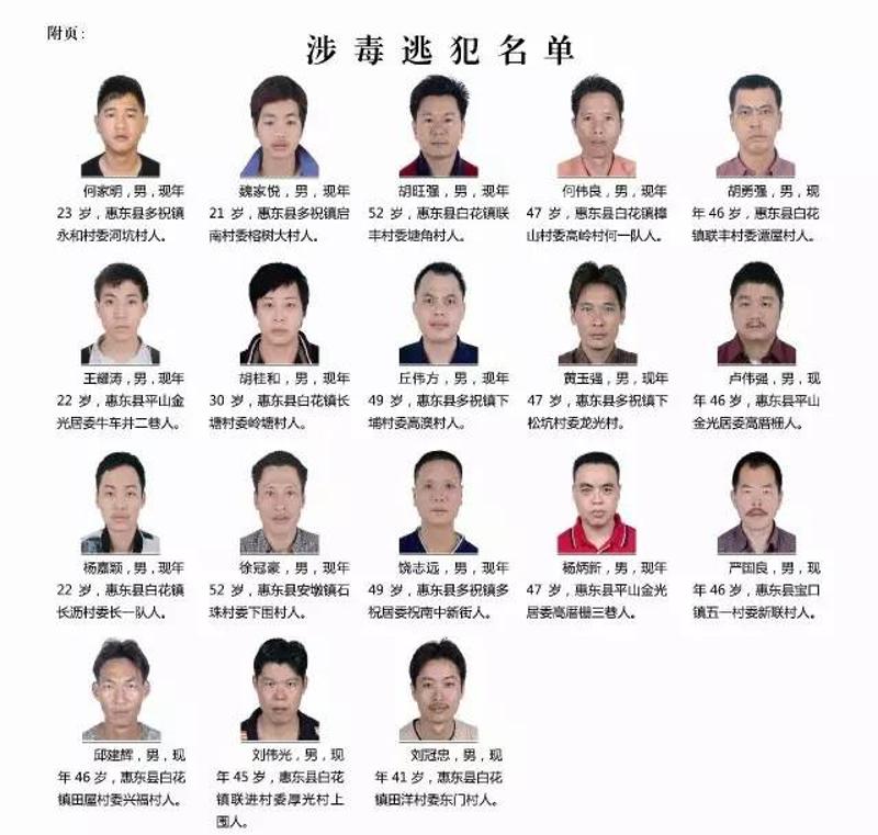 惠州最新通緝公告,惠州最新通緝公告，追逐變化，自信成就未來