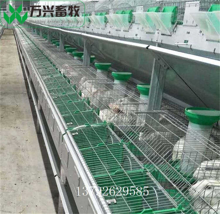 革新養(yǎng)兔業(yè)，新型兔籠引領(lǐng)里程碑式發(fā)展