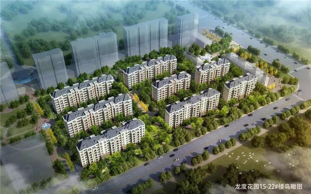 瑞基瀾鳳華府最新動(dòng)態(tài)，變化中的學(xué)習(xí)力量，成就自信之源