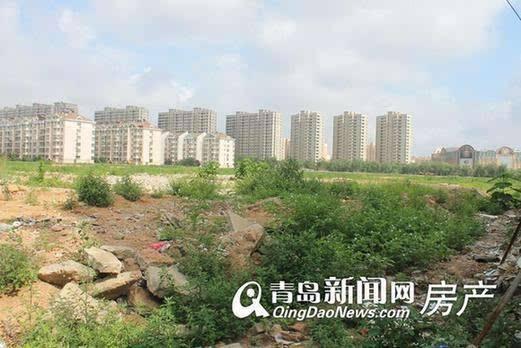 李滄楊哥莊最新動(dòng)態(tài)，科技引領(lǐng)生活，智能新品體驗(yàn)未來(lái)
