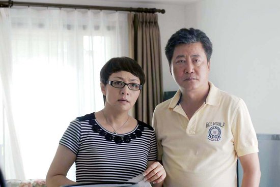 趙寶剛最新電視劇深度解析與探討，新劇探討與探討