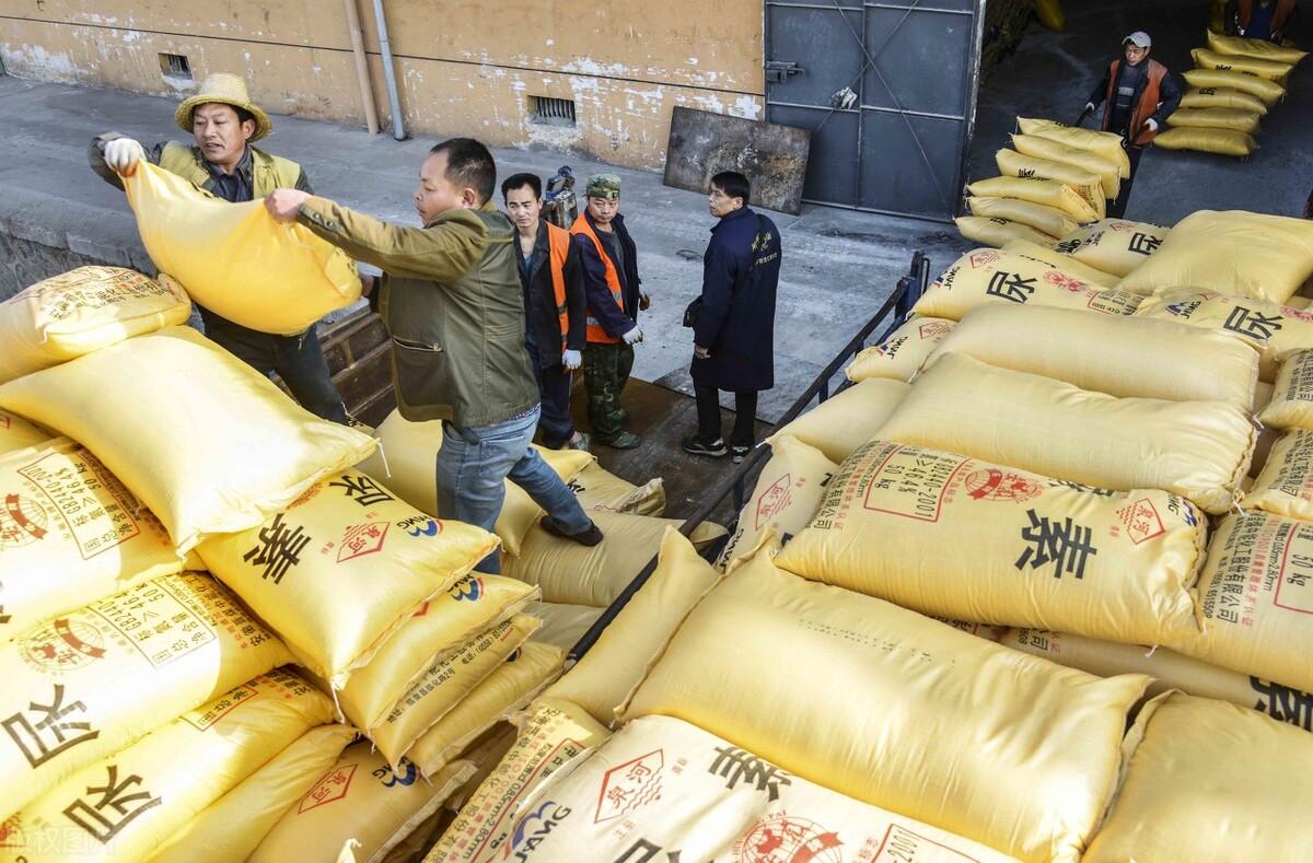 全國尿素最新價格，科技重塑生活下的新面貌