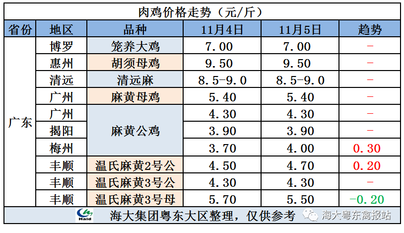 廣東雞價(jià)最新行情，心靈與自然的旅行交響曲