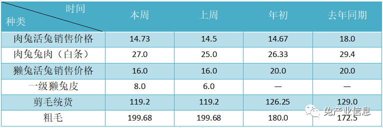 獺兔價(jià)格最新行情揭秘，溫情故事在兔子洞展開